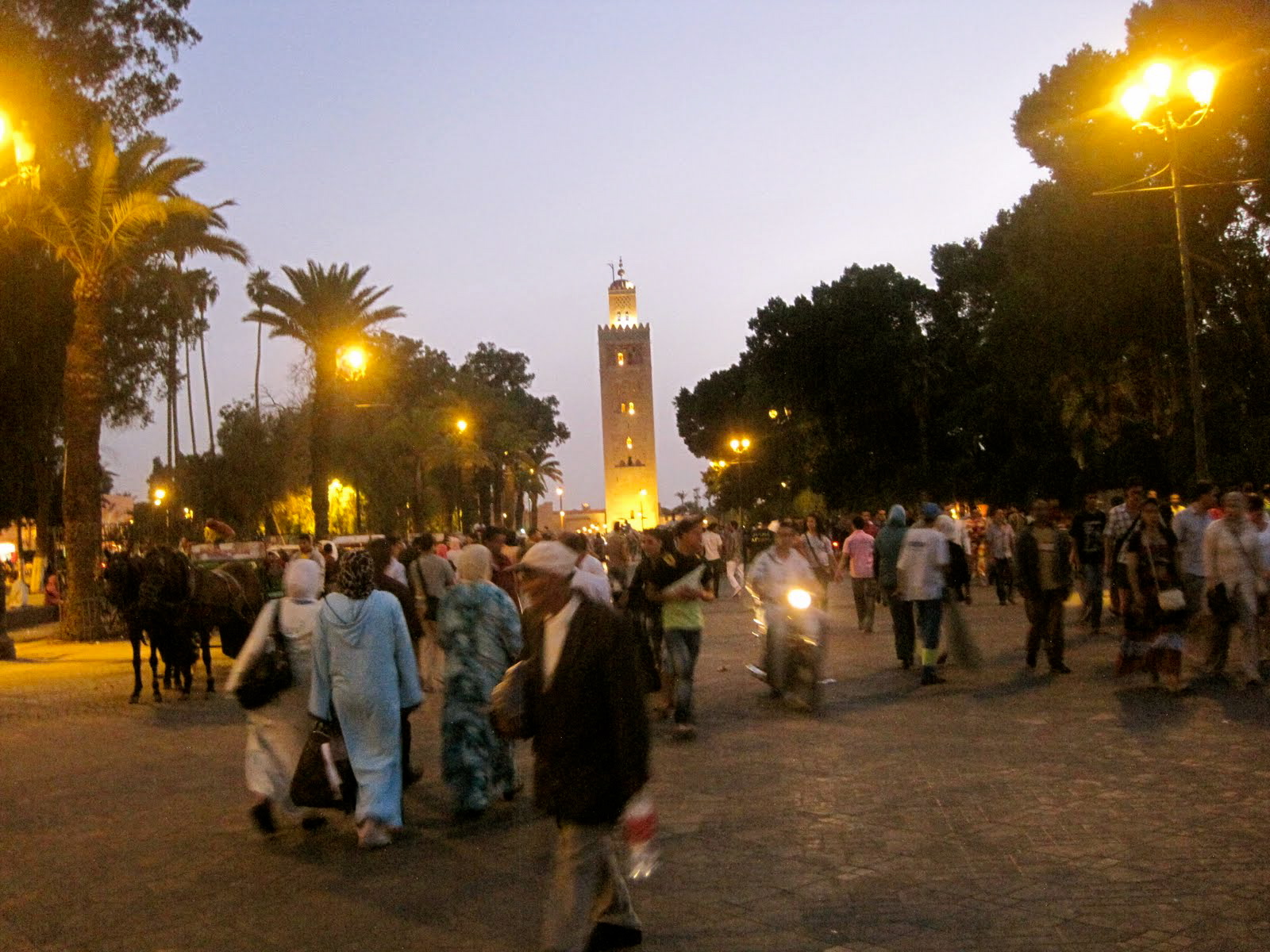 Run-ins with Men and Food Poisoning - Marrakech, Morocco - Pivotal Places